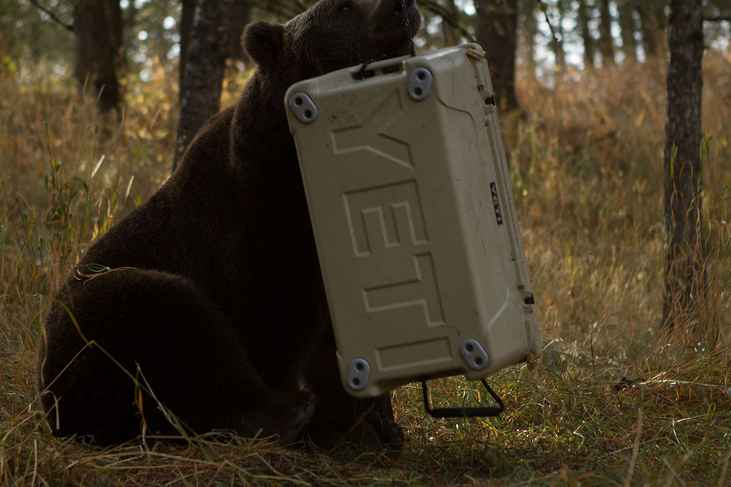 YETI Tundra 160 Cooler