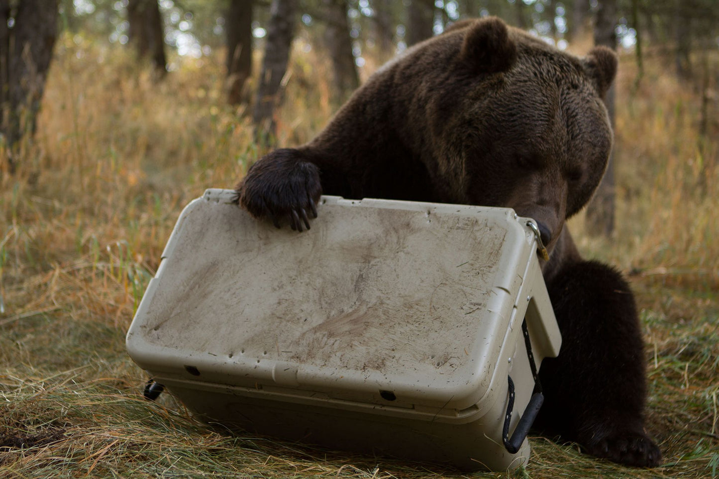 YETI Tundra 160 Cooler