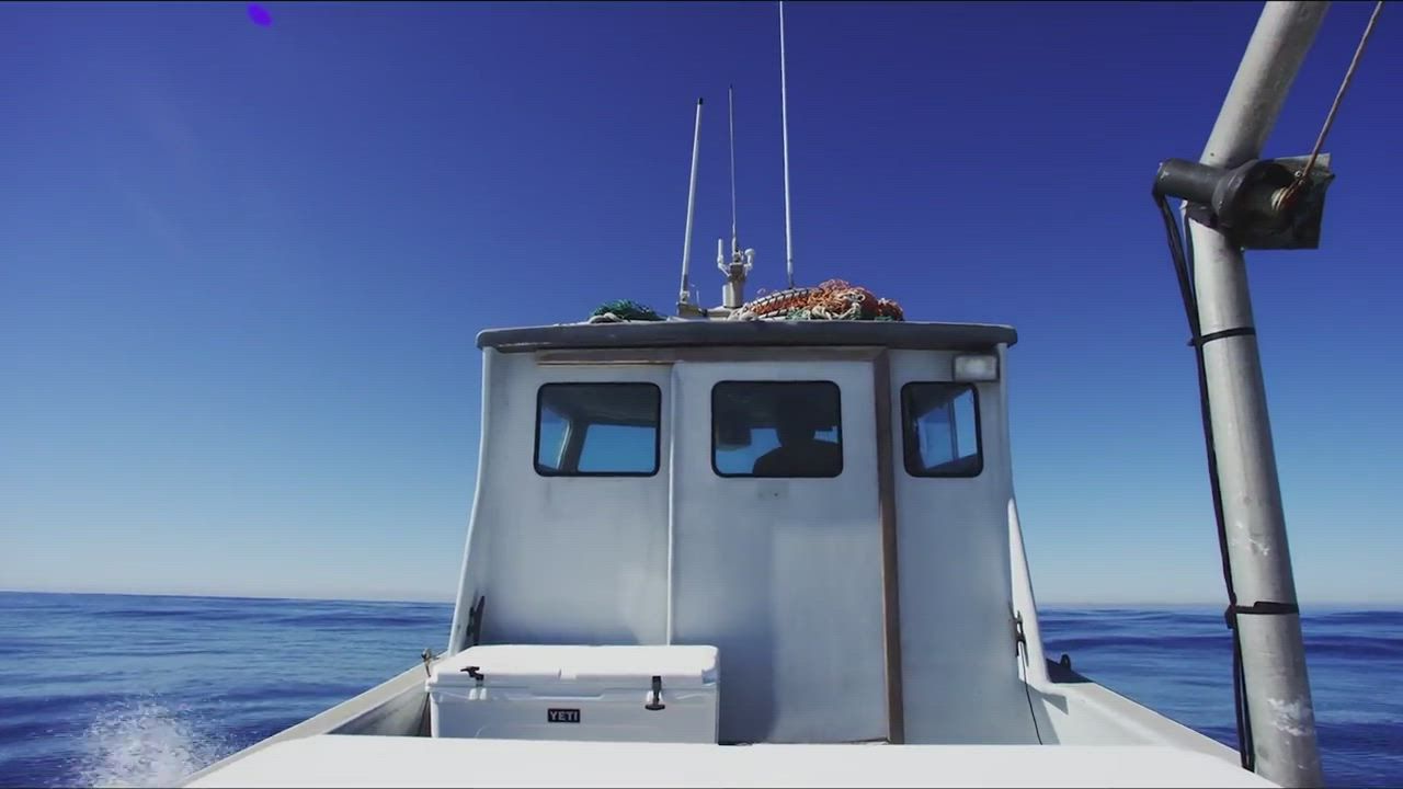 YETI Tundra 65 Cooler