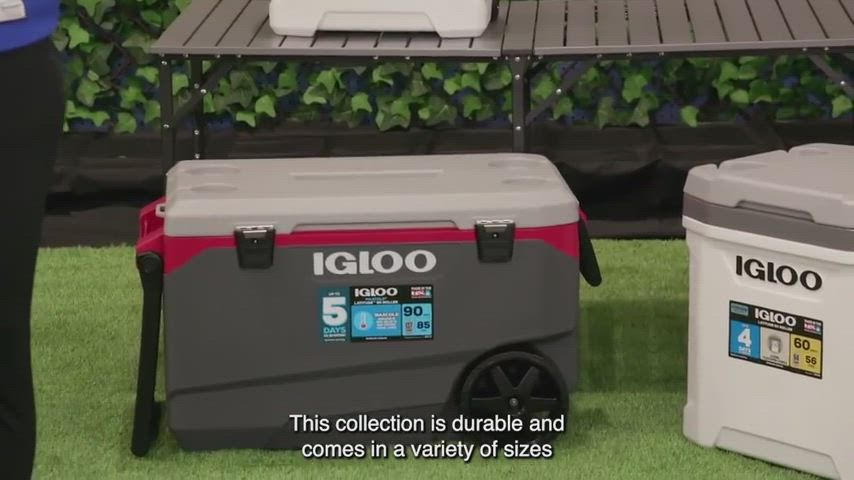 Igloo 60 Quart Latitude Roller Cooler