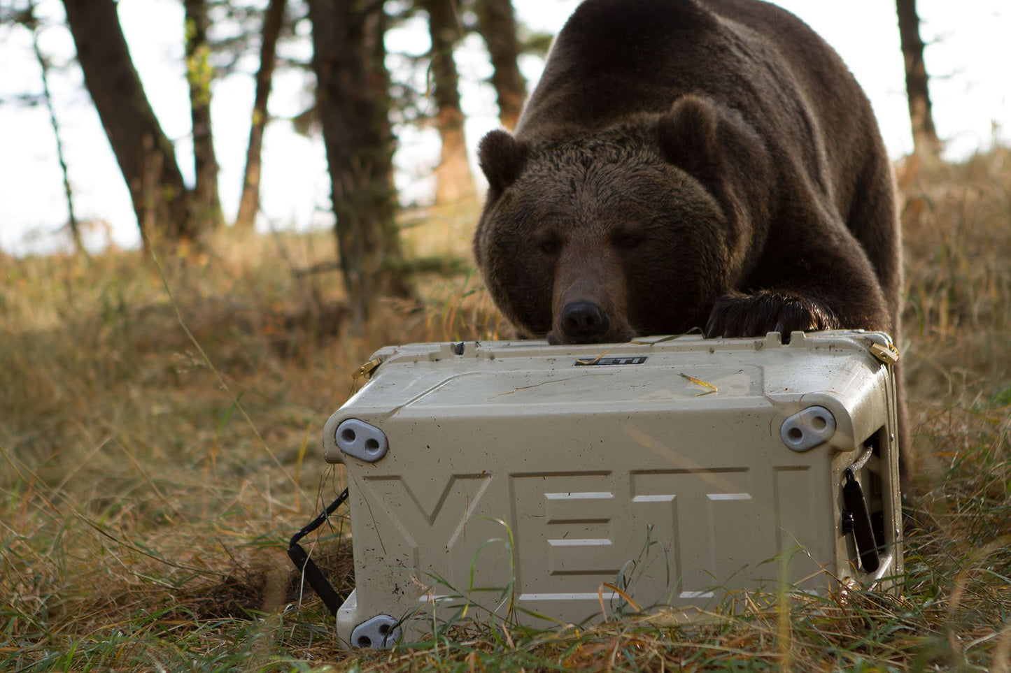 YETI Tundra 210 Cooler